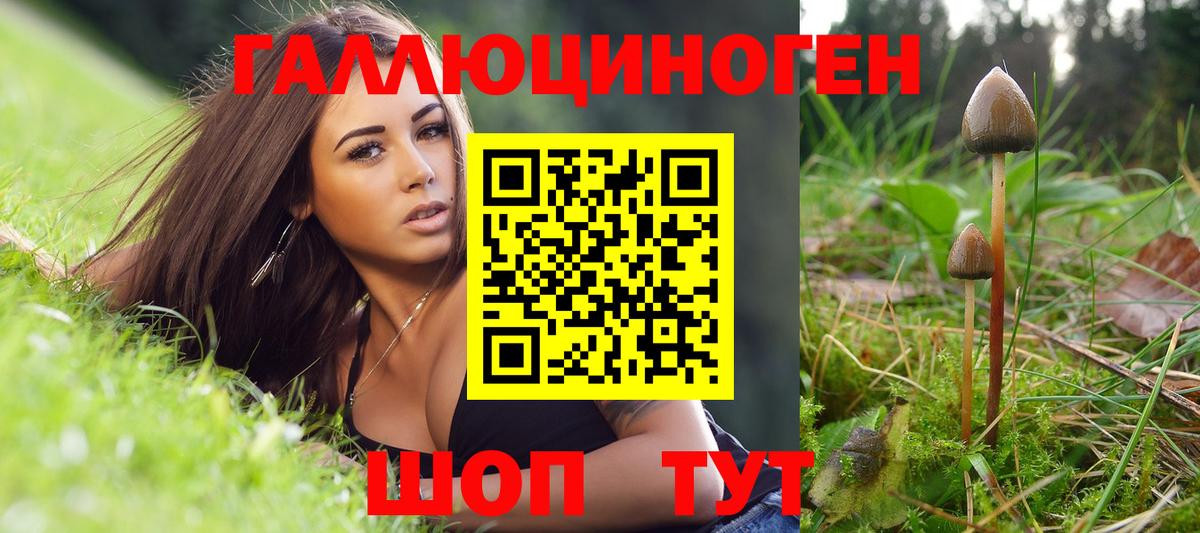 Псилоцибиновые грибы MAGIC MUSHROOMS Пугачёв