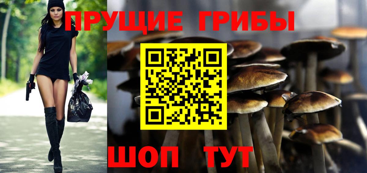 Псилоцибиновые грибы Psilocybine cubensis  Вход с VPN  Пугачёв 